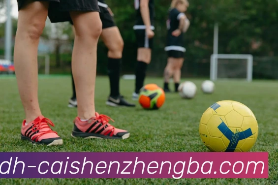 App Interface Preview